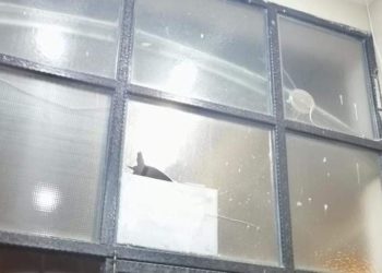 Alevi toplumunun ibadethanesi olan Cemevine saldırı