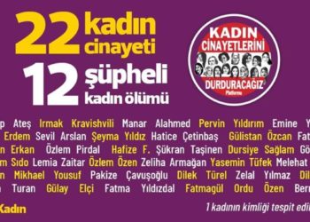 8 Mart arifesinde kadına şiddetin bilançosu