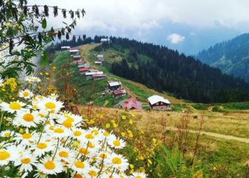 Koronavirüs salgınından insanlık ne ders çıkaracak?