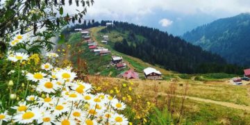 Koronavirüs salgınından insanlık ne ders çıkaracak?