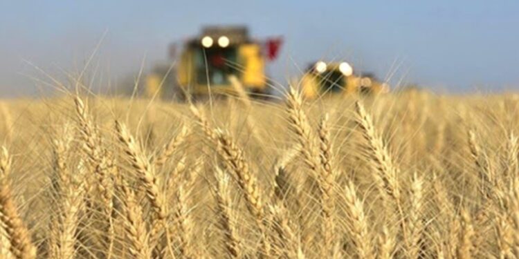 Tarımsal Girdi Fiyat Endeksi açıklandı