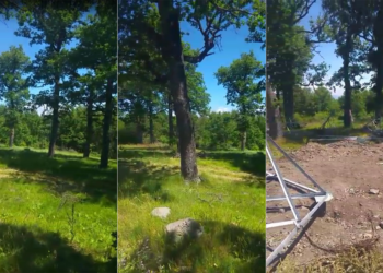 Ağaçkesilen ziyaretgahına saygı gösterin