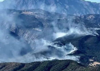 Dersim’deki orman yangınına havadan müdahale şart