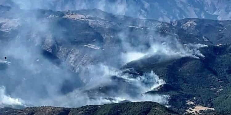 Dersim’deki orman yangınına havadan müdahale şart