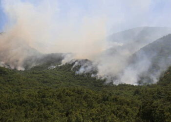 dersim orman yangını