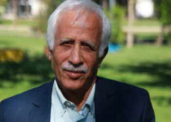 Sinan Çiftyürek: Kürtler siyaseten birlik olmalı