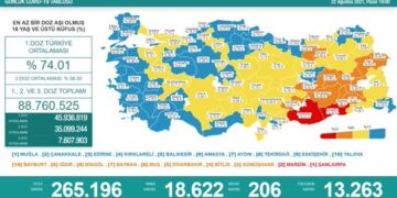 Koronavirüs salgınında 206 can kaybı
