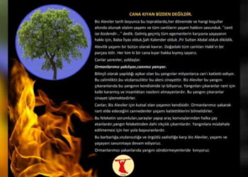 PSAKD’den orman yangınları açıklaması