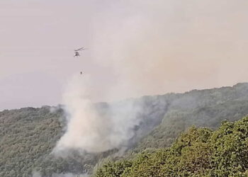 Tunceli Valiliği'nden orman yangını açıklaması