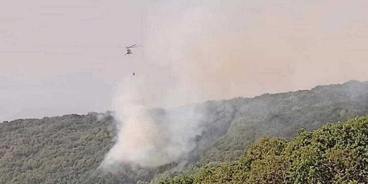 Tunceli Valiliği'nden orman yangını açıklaması