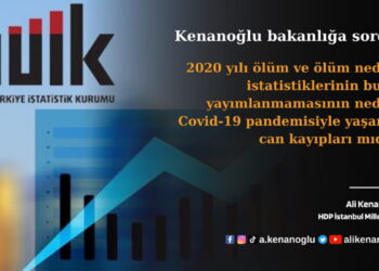 tüik ölüm istatistikleri soru önergesi