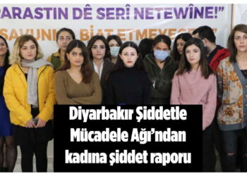 diyarbakır şiddetle mücadele ağı raporu