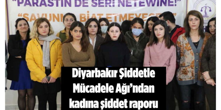 diyarbakır şiddetle mücadele ağı raporu