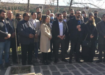 diyarbakır deva partisi
