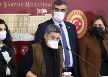 ttb şebnem korur fincancı