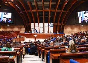 Diyarbakır Büyükşehir Meclis Üyesi Kader Madenkuyu AK-YBYK toplantısında