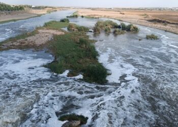 Dicle Nehri’nden alınan numunelerin sonuçları çıktı