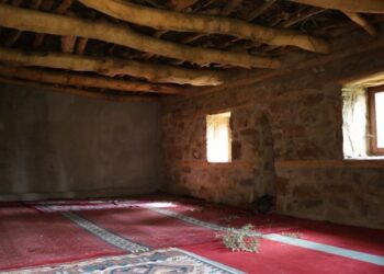 Feqiyê Teyran’ın doğduğu ev bakımsızlıktan zarar görüyor