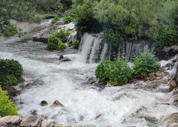 Alevi örgütlerinden Munzur Gözelerine müdahaleye tepki