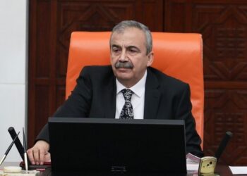 DEM Parti Meclis Başkanvekili Önder’den ‘tokalaşma’ yorumu