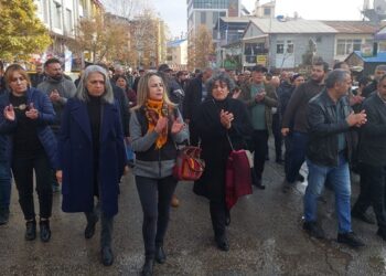 Dersim Seyit Rıza Meydanı’nda kayyum mitingi çağrısı