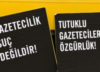 Gazeteci Havin Derya da gözaltına alındı