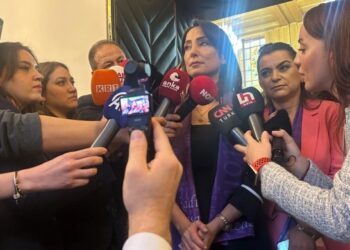 DEM Parti Eş Genel Başkanı Hatimoğulları: Çözüm dışarıda değil, Meclis’te