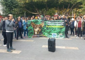 Yaşam hakkı savunucularından ‘dayanışma çağrısı