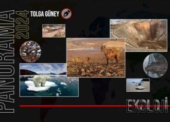 Doğayı bitirdiler, doymadılar!