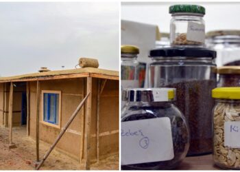 Diyarbakır’da bir ilk: Tohum Kütüphanesi