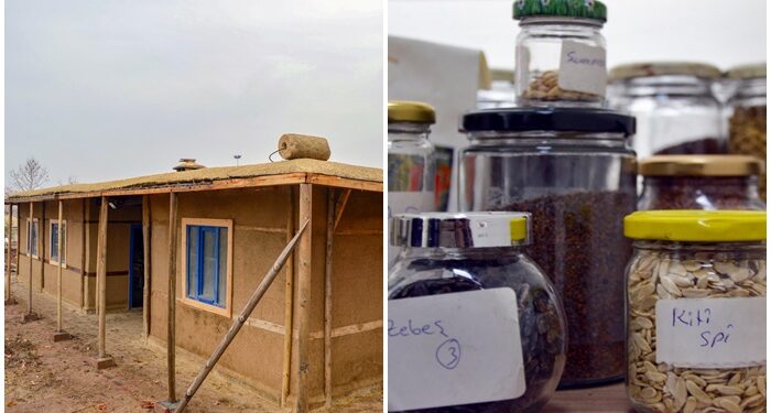 Diyarbakır’da bir ilk: Tohum Kütüphanesi