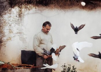 Asrın Hukuk Bürosu’ndan Öcalan açıklaması