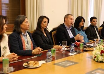 DEM Parti Diyarbakır Kent Koruma Platformu ile görüştü