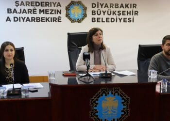 Diyarbakır Eş Başkanı Bucak’tan kayyım tepkisi: Kabul etmiyoruz