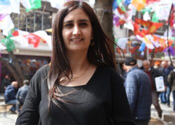 Yerine kayyım atanan Dersim eşbakanına hapis cezası