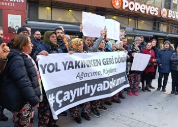 Çayırlı köylüleri : Ağaçlar kesilirse kendimizi tarlaya gömeceğiz!
