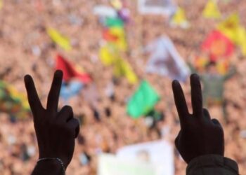 DEM Parti’den 4 maddelik ‘çözüm’ bildirgesi
