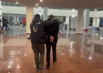 Diyarbakır Eşbaşkanına ikinci gözaltı
