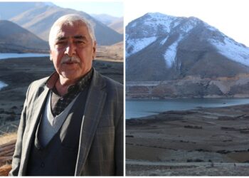 Çat Barajı’ndaki yüzen adalar kıyıya vurdu