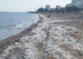Akdeniz’deki mikraplastik kirliliğine karşı çevre kurumları çağrı yaptı
