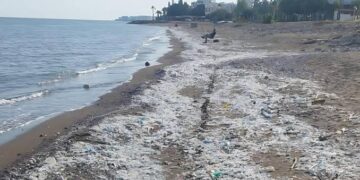Akdeniz’deki mikraplastik kirliliğine karşı çevre kurumları çağrı yaptı