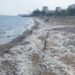 Akdeniz’deki mikraplastik kirliliğine karşı çevre kurumları çağrı yaptı