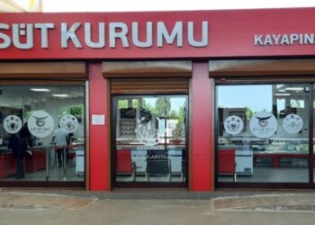 Diyarbakır’da ucuz et kuyruğu: 1 kilo et için saatlerce kuyrukta boşa beklemek de var hesapta