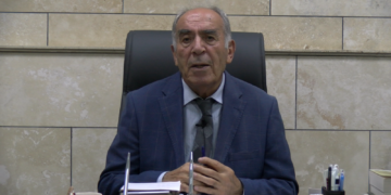 Pir Hasan Kılavuz: Herkes barış için taşın altına gövdesini koymalı
