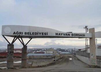 Ağrı ve Kars’taki şap hastalığı yayılıyor