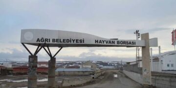Ağrı ve Kars’taki şap hastalığı yayılıyor