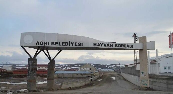 Ağrı ve Kars’taki şap hastalığı yayılıyor