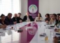 DEM Parti, bileşenler ve HDK buluşması
