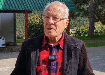 Alevi felsefesi: İnsandan İnsan-ı Kamile