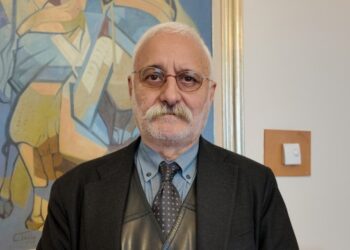 DEM Parti MYK Üyesi Oluç: Atılacak adımlara dair takvim netleşmiş değil